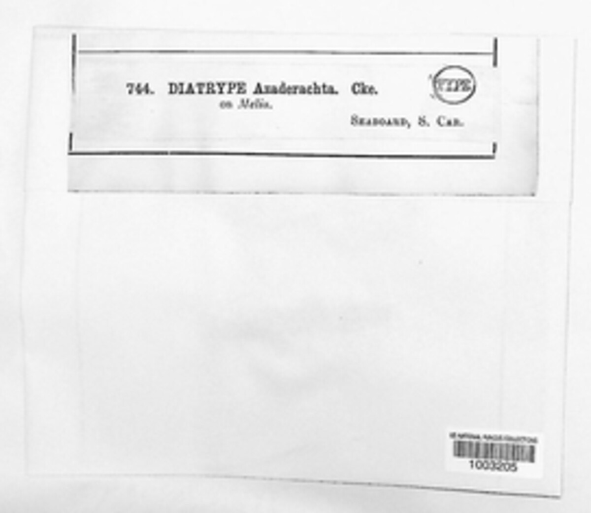 Diatrype azedarachae image